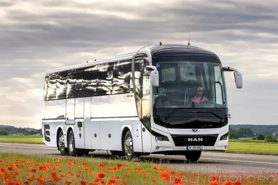 DALNOBOI.ORG | Автобусные новинки MAN и Neoplan