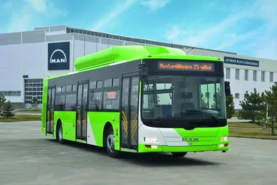 Тройной успех автобусов MAN - Adampolis Group