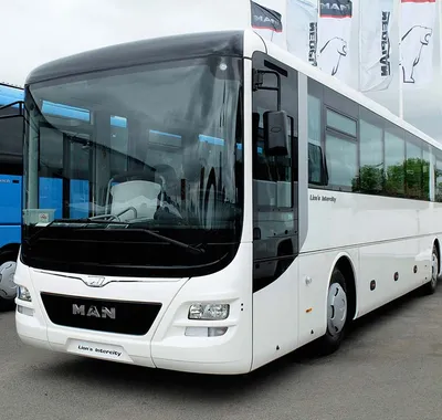 Автобус MAN 49+1 в аренду недорого Екатеринбург - «Е-Транс66»