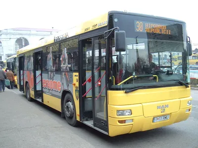 Аренда автобуса Man Lions Coach на 50 мест с водителем в Москве, заказ,  прокат