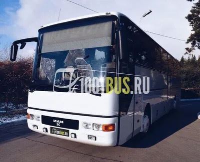 Заказ MAN Lion's Coach, 49 мест - автобусы в аренду с водителем | STATUS CAR