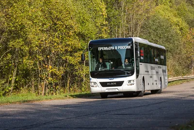 Standard-bus: почему Mercedes и MAN выпускали одинаковые автобусы? —  Авторевю