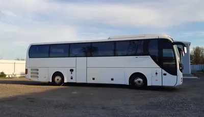 Автобус MAN LION' COACH (В 967 АЕ 147)
