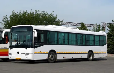 Аренда автобуса на 45 мест Mercedes-Benz 0345 для перевозки рабочих в  Москве и МО | КАРРО