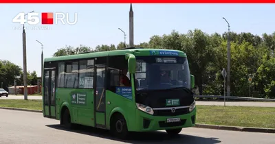 Аренда автобуса — Екатеринбург | Цены на заказ автобуса с водителем на  сайте объявлений Перевозка-24