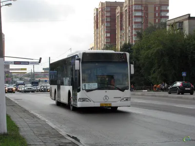 Автобусы Mercedes-Benz Днепропетровская область: купить автобус  Mercedes-Benz новый и бу на OLX.ua Украина Днепропетровская область