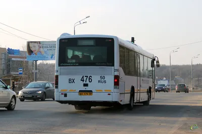 Аренда микроавтобуса Mercedes-Benz Sprinter VIP, 17-19 мест с водителем в  Ростове-на-Дону