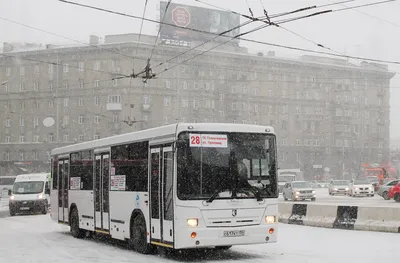 КАМАЗ поставил в Москву партию низкопольных автобусов «НЕФАЗ»