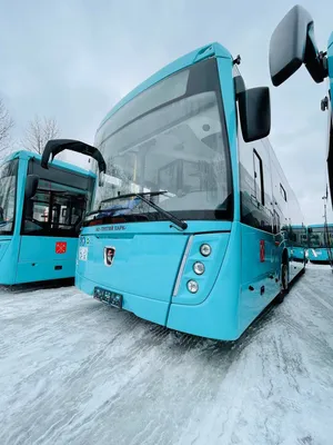 Автопарк Кемерова пополнился 20 автобусами «НЕФАЗ»
