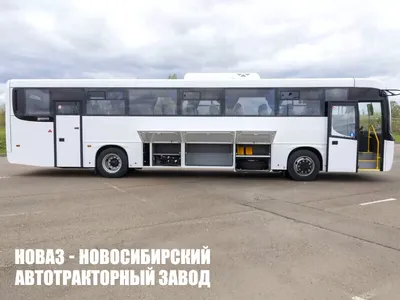 В Оренбурге на городские маршруты вышли 63 новых автобуса «Нефаз» :  Урал56.Ру. Новости Орска, Оренбурга и Оренбургской области.