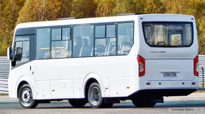 Автобус ГАЗ Vector NEXT ПАЗ-320405