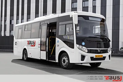 Купить автобус ПАЗ Вектор Next 7.6 Стандарт на 17 (53) мест новый у  официального дилера в Москве