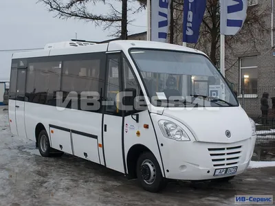 Туристический автобус Неман 420224-11 на базе шасси IVECO Daily 65C15CC  (28+2) » ИВ-Сервис – официальный дилер JAC, DONGFENG, IVECO и FUSO
