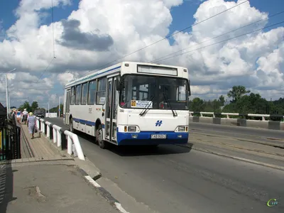 Заказ Автобуса НЕМАН IVECO - avtopark96.ru