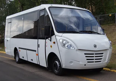 Автобусы «Неман 420211-511», «Неман 420234-511» и «Неман 520123-260»