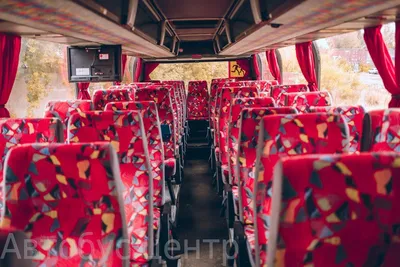 Neoplan-33 | Аренда и заказ автобусов в Одессе