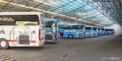Neoplan N1217hdc Cityliner — стоковые фотографии и другие картинки  Экскурсионный автобус - Экскурсионный автобус, 2015, Автобус - iStock