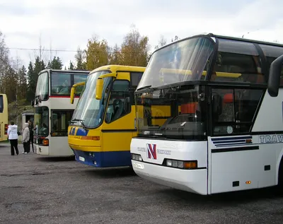Междугородние автобусы Португалии - DiscoverPortugal