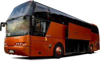 Neoplan N116 Cityliner — стоковые фотографии и другие картинки Автобус -  Автобус, Блестящий, На открытом воздухе - iStock