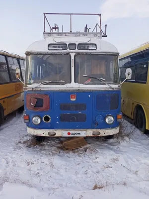 Автобус ПАЗ-672 – 3D модель - Studia3D