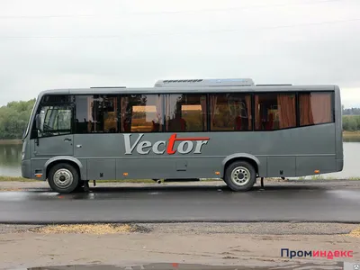 Автобус ПАЗ 32053, год выпуска 2010, VIN X1M3205COA0005677, модель N  двигателя 523400 А1009283, кузов N X1M3205COA0005677, цвет белый,  регистрационный знак Н149МН72 | Тюменская область | Торги России