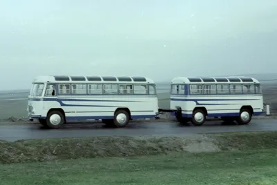 По Питеру в прицепе: на улицах Северной столицы может появиться новый вид  автобусов — Авторевю