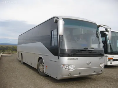 Автобус YUTONG 45-55 мест | Luxury Cars