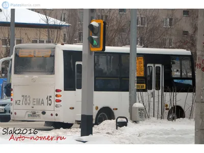 шаолинь - Автобусы - OLX.kz