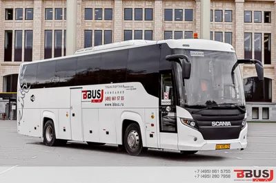 Трансфер и аренда автобуса Scania Touring 51 место белого цвета, 2019-2021  года с водителем