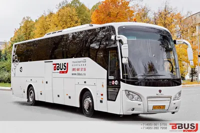 Туристический автобус Scania Irizar century. 62 seats., год 2008 - EC346547  в Беларуси в продаже на Mascus