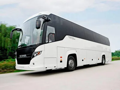 Заказать автобус Scania на 39 мест. Киев, Украина | CITY-BUS