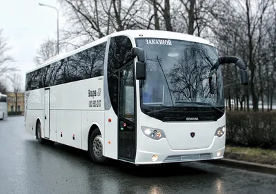 Купить туристический автобус Scania TOURING HIGER HD Польша Lędziny, WL18486