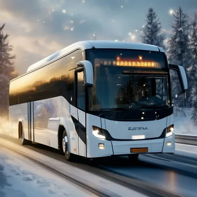 Купить туристический автобус Scania OMNIEXPRESS EURO-6 Польша Grodkowice,  AK33597