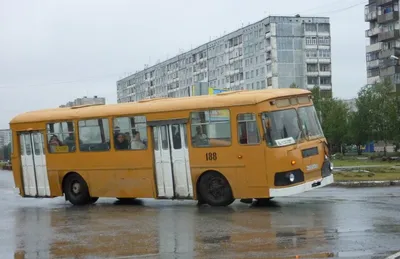 Скотовоз\" или автобус ЛиАЗ-677. Почему его называли скотовозом | БИБИП |  Дзен