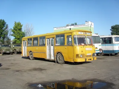 3 легендарных автобуса Москвы времен позднего СССР: \"скотовозы\" и  \"гармошки» | ВКонтакте
