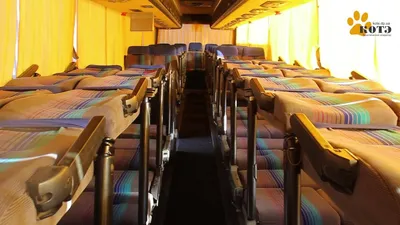 Автобус с лежачими местами | Шестеренка | Дзен