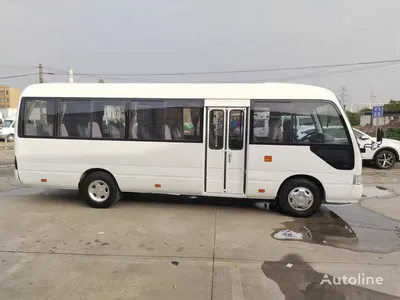 Купить школьный автобус Toyota Coaster diesel engine 30 passengers from  Japan Китай Shanghai, YA34198