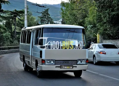 Toyota Coaster м003ау - Владивосток - Фото №242101 - Твой Транспорт