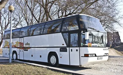 Аренда автобусов с водителями: предложение для турфирм от компании  «Сильвертур» | Digital Travel