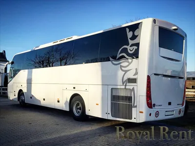Royal Rent: Аренда автобусов | перевозка пассажиров | автобусы на свадьбу |  автобусы для детей