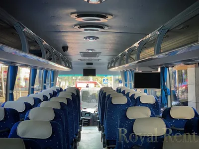 Royal Rent: Аренда автобусов | перевозка пассажиров | автобусы на свадьбу |  автобусы для детей