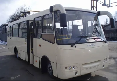 Аренда автобуса с водителем в Иркутске: 49 водителей пассажирского  транспорта со средним рейтингом 4.6 с отзывами и ценами на Яндекс Услугах.