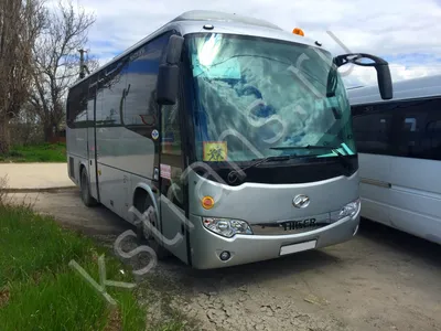 Аренда автобусов для поездок по Беларуси и зарубеж