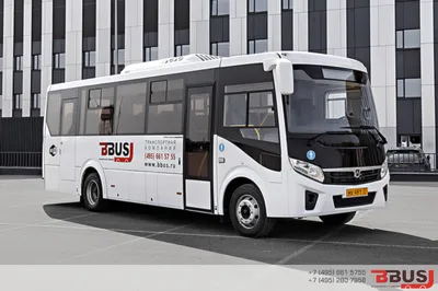 Новый ПАЗик «Вектор-Next» — Сообщество «Грузовики и Автобусы» на DRIVE2