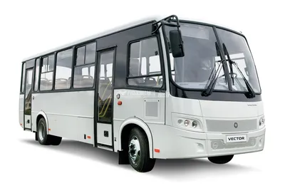 Автобус ПАЗ 320412-05 (Вектор 8.56, Cummins E-5 КПП ZF, пригород, 29 мест с  ремнями безопасности) - купить в Москве, цены в каталоге «Русбизнесавто»