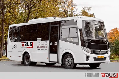 Файл:Автобус ПАЗ Вектор Next на тестовой эксплуатации в Ульяновске.jpg —  Википедия