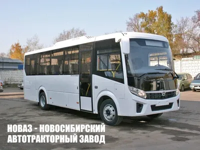 Автобус ПАЗ Вектор NEXT (8,8 м.), с пандусом - Компания «Бас-ДВ»
