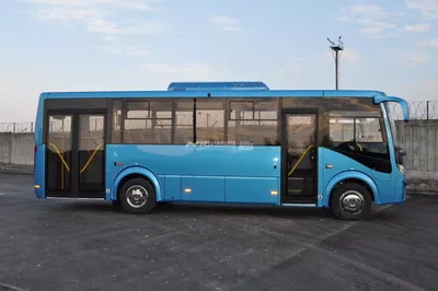 Запасные части для автобусов ПАЗ Вектор в Ростове по низкой цене