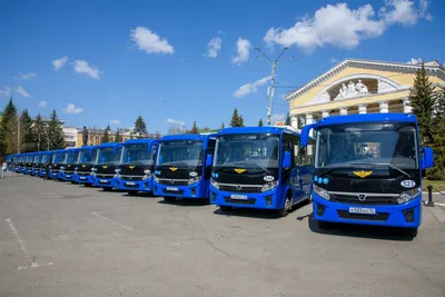 Автобус паз 320414-05 \"вектор\" (19/64) пригород купить в Краснодаре, цена  2600000 руб. от Техномир — Проминдекс — ID710693