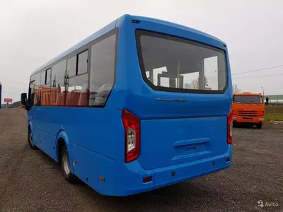 Автобус ПАЗ 320435-04 Вектор NEXT 19 мест, купить по России, продажа по  цене завода, вместимость 52 пассажира - НОВАЗ
